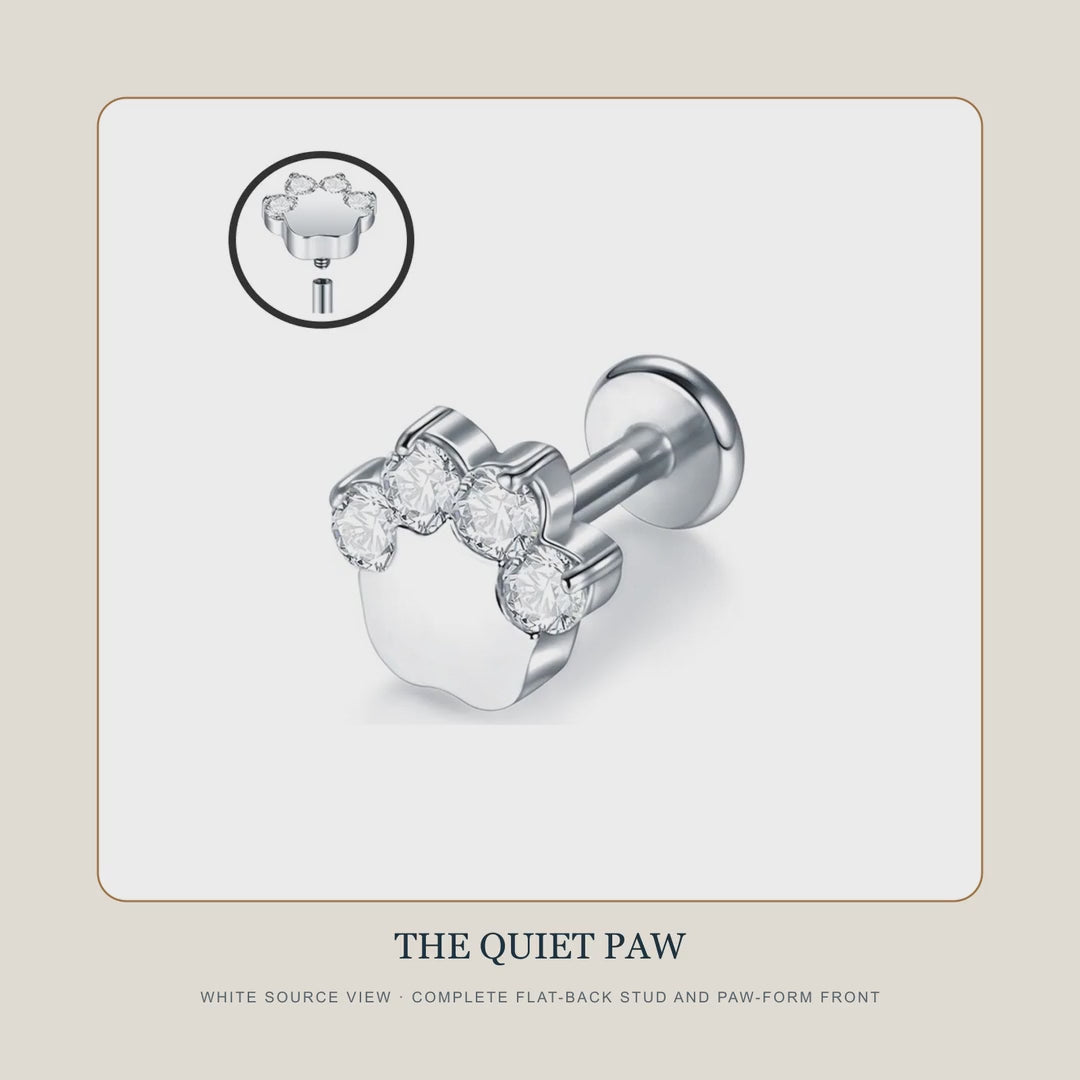 The Quiet Paw Quiet Step — 15-second product story film