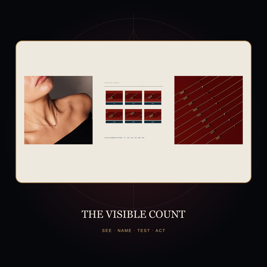 THE VISIBLE COUNT