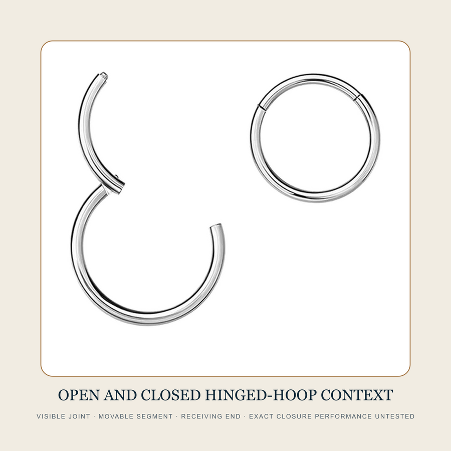 Open and closed plain steel-tone hinged hoop source examples showing joint and movable segment context