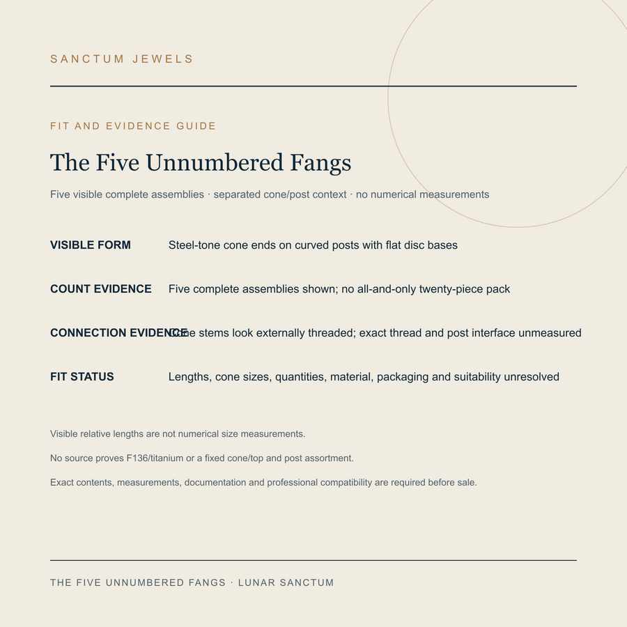 The Five Unnumbered Fangs English count, connection and unresolved-fit evidence guide