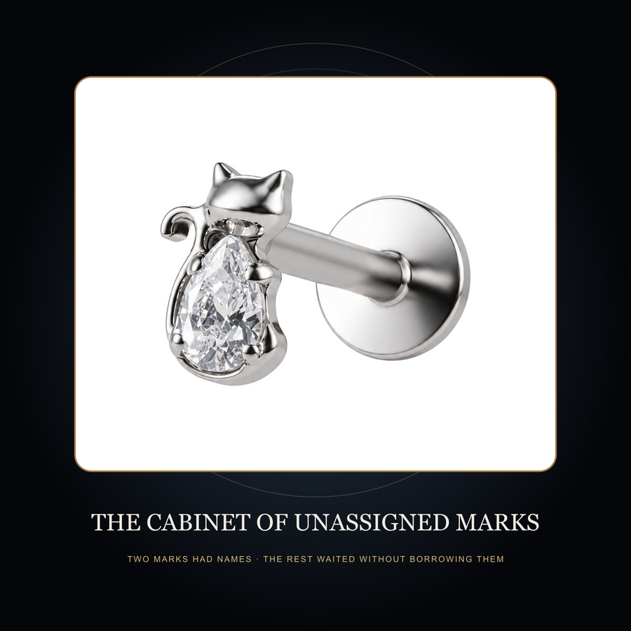 The silver-tone cat-form stud in the fictional Cabinet of Unassigned Marks story scene