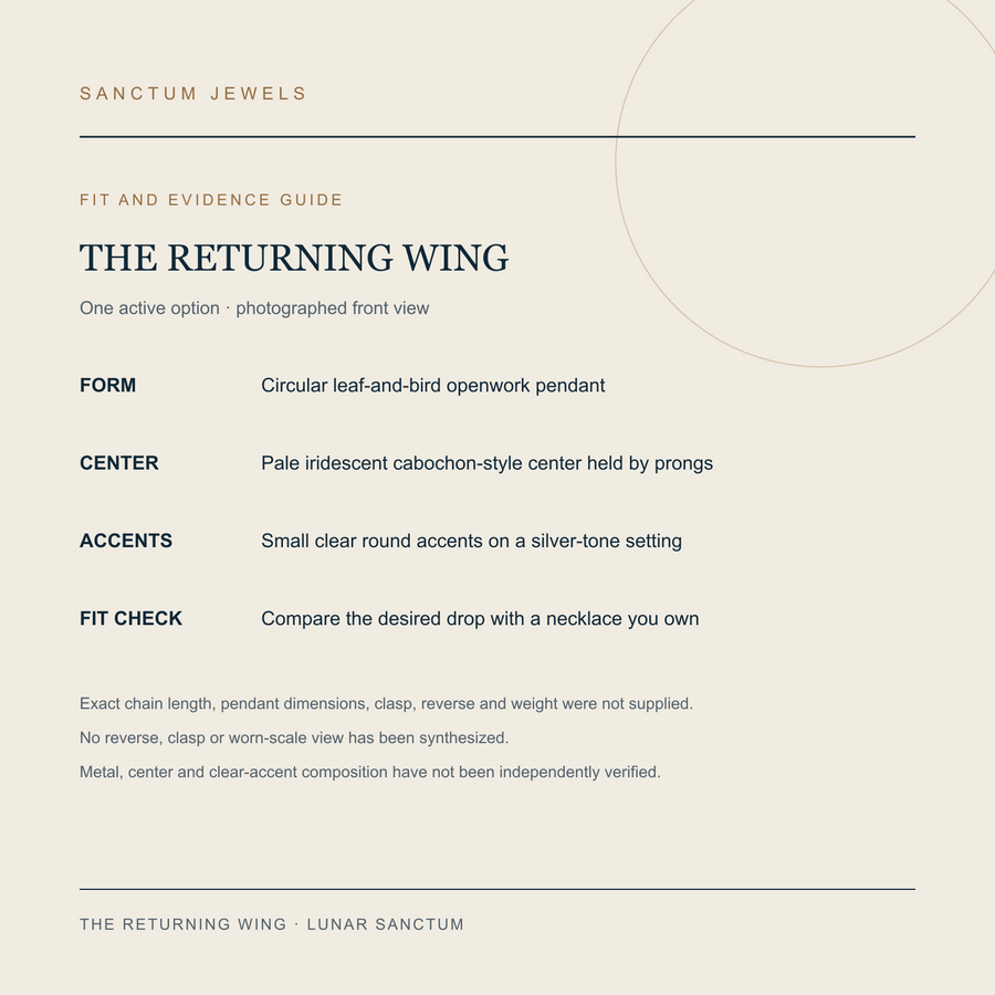 The Returning Wing necklace fit and available evidence guide in English
