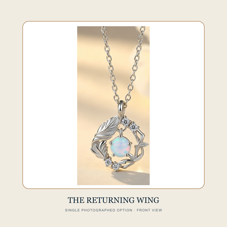 Framed front source view of The Returning Wing single photographed necklace option