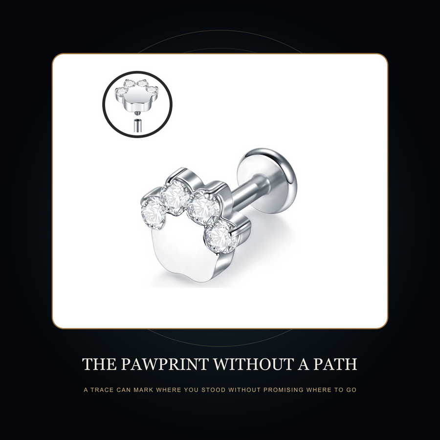 The Quiet Paw stud in the fictional Pawprint Without a Path Night Archive story scene