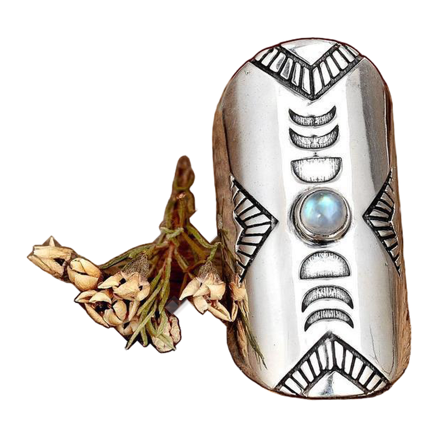 The Lunar Embrace silver-tone moon phase shield ring with blue-sheen cabochon beside dried flowers